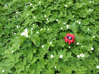 20140514_161204.jpg