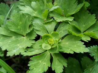 20140514_161307.jpg