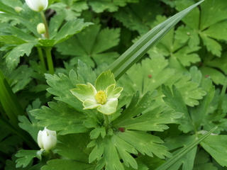 20140514_161525.jpg