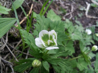 20140514_162057.jpg