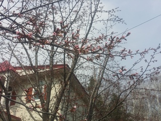 20180502_092607.jpg