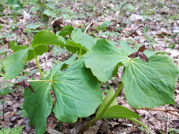 20200502_142700.jpg
