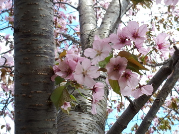 20200512_131323.jpg