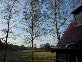 111012-04.jpg