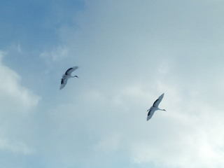 130112-08.jpg