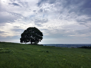 150820-001.jpg