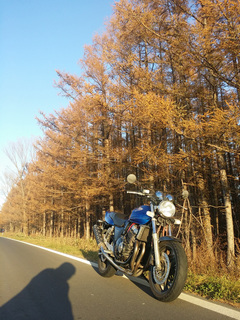 20151107_151112.jpg