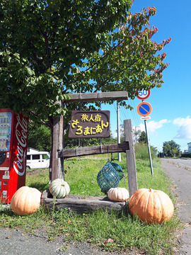 20190921_094531.jpg